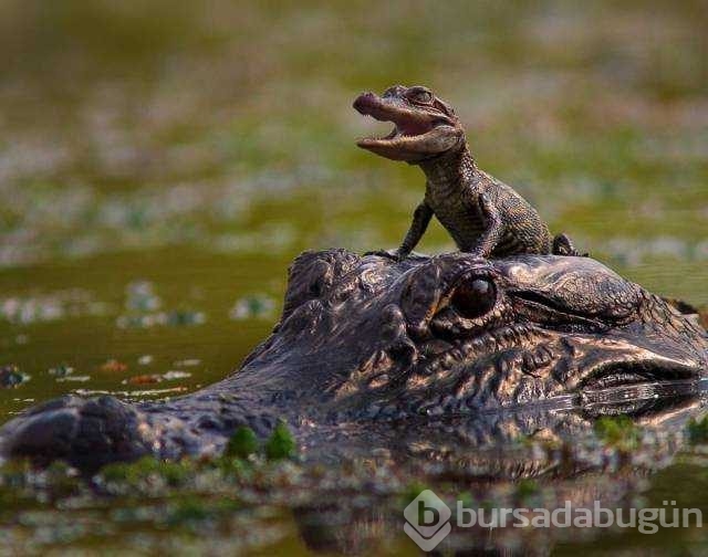 Günün en çok paylaşılan fotoğrafları