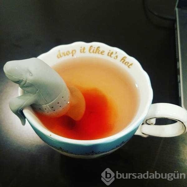 Günün en çok paylaşılan fotoğrafları
