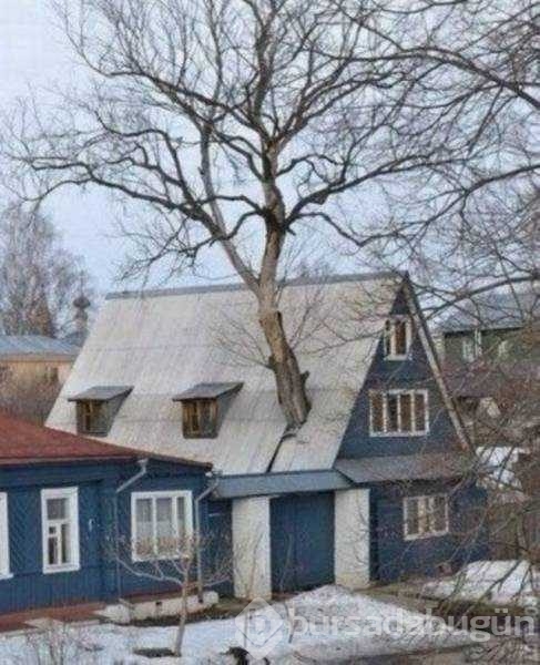 Günün en çok paylaşılan fotoğrafları