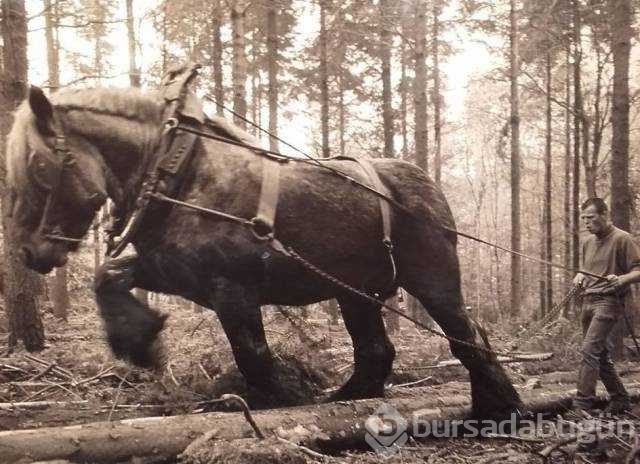 Günün en çok paylaşılan fotoğrafları