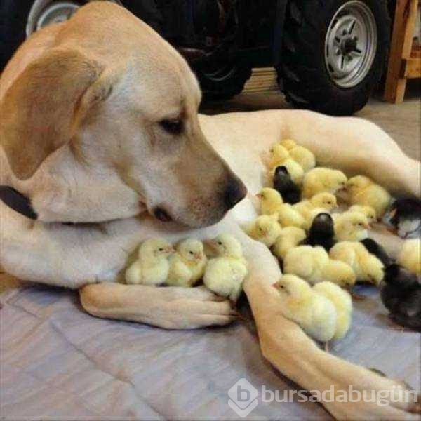 Günün en çok paylaşılan fotoğrafları