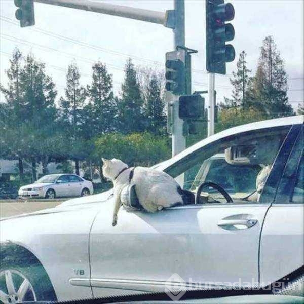 Günün en çok paylaşılan fotoğrafları
