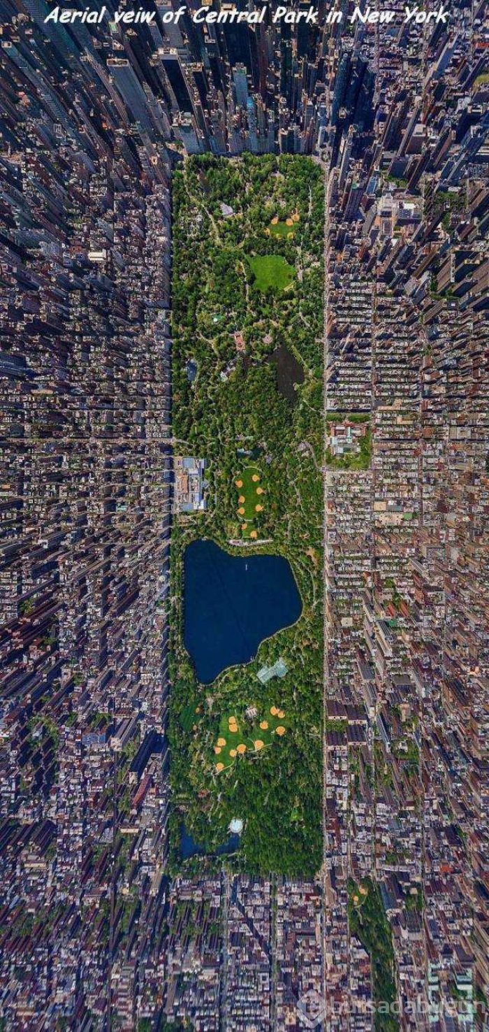 Günün en çok paylaşılan fotoğrafları