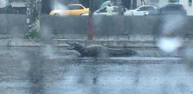 Günün en çok paylaşılan fotoğrafları