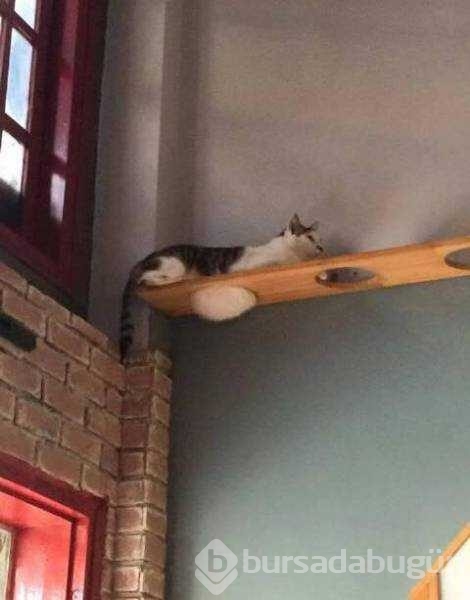 Günün en çok paylaşılan fotoğrafları