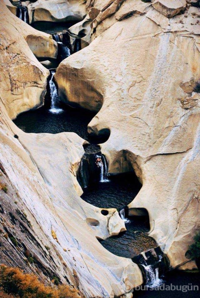 Günün en çok paylaşılan fotoğrafları