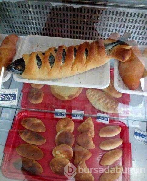 Günün en çok paylaşılan fotoğrafları