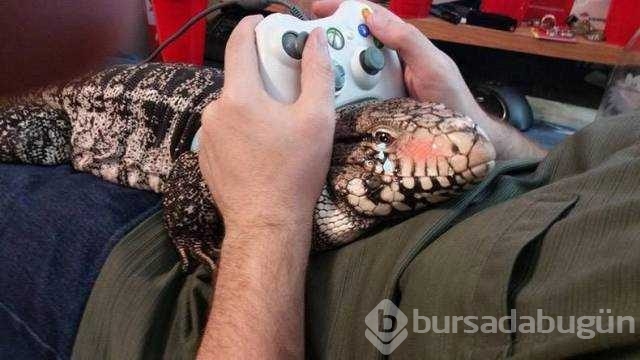 Günün en çok paylaşılan fotoğrafları
