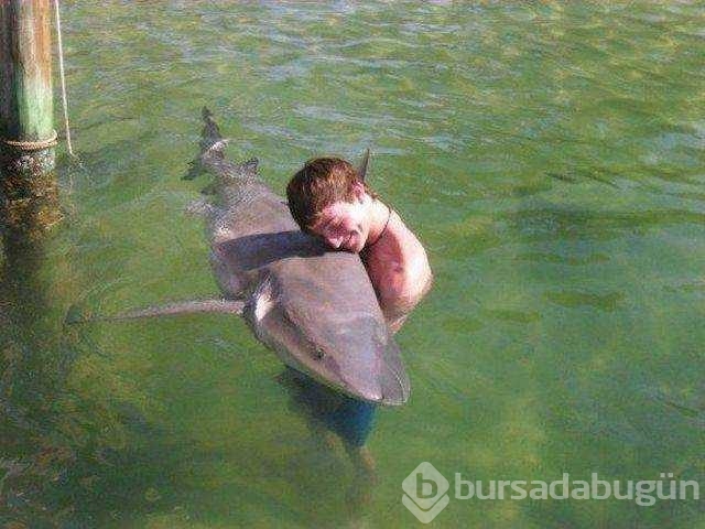 Günün en çok paylaşılan fotoğrafları