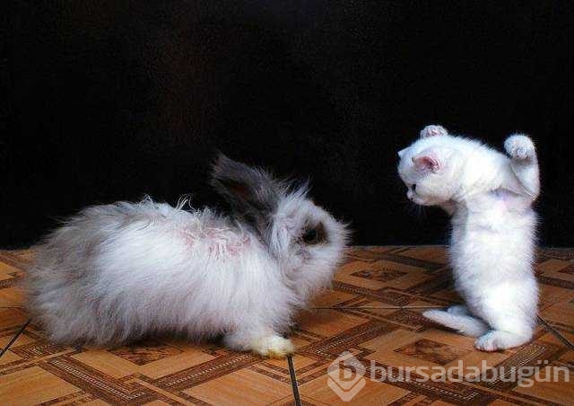 Günün en çok paylaşılan fotoğrafları