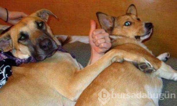 Enteresan yansıma fotoğrafları
