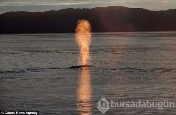 Enteresan yansıma fotoğrafları
