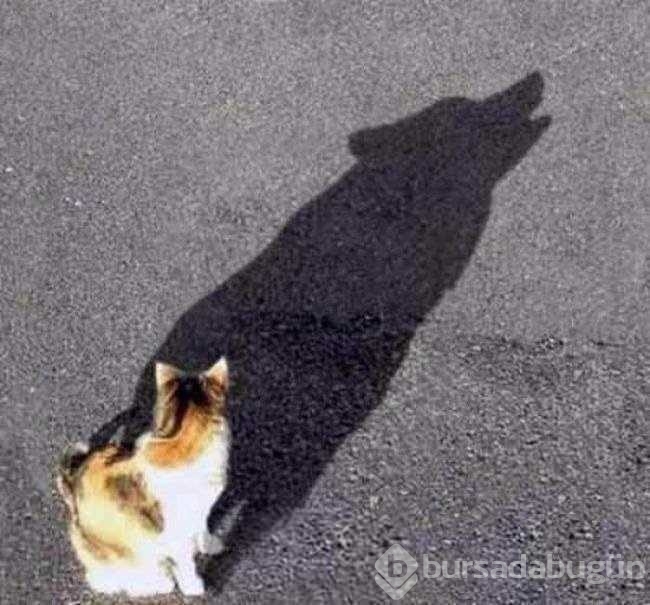 Enteresan yansıma fotoğrafları
