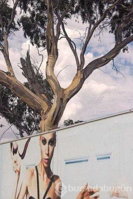 Enteresan yansıma fotoğrafları
