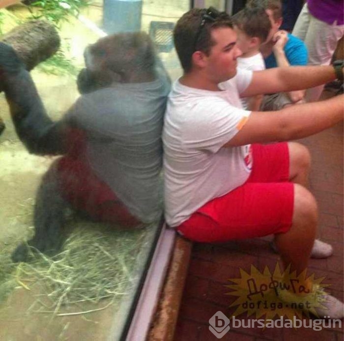 Enteresan yansıma fotoğrafları
