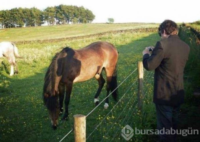 Enteresan yansıma fotoğrafları
