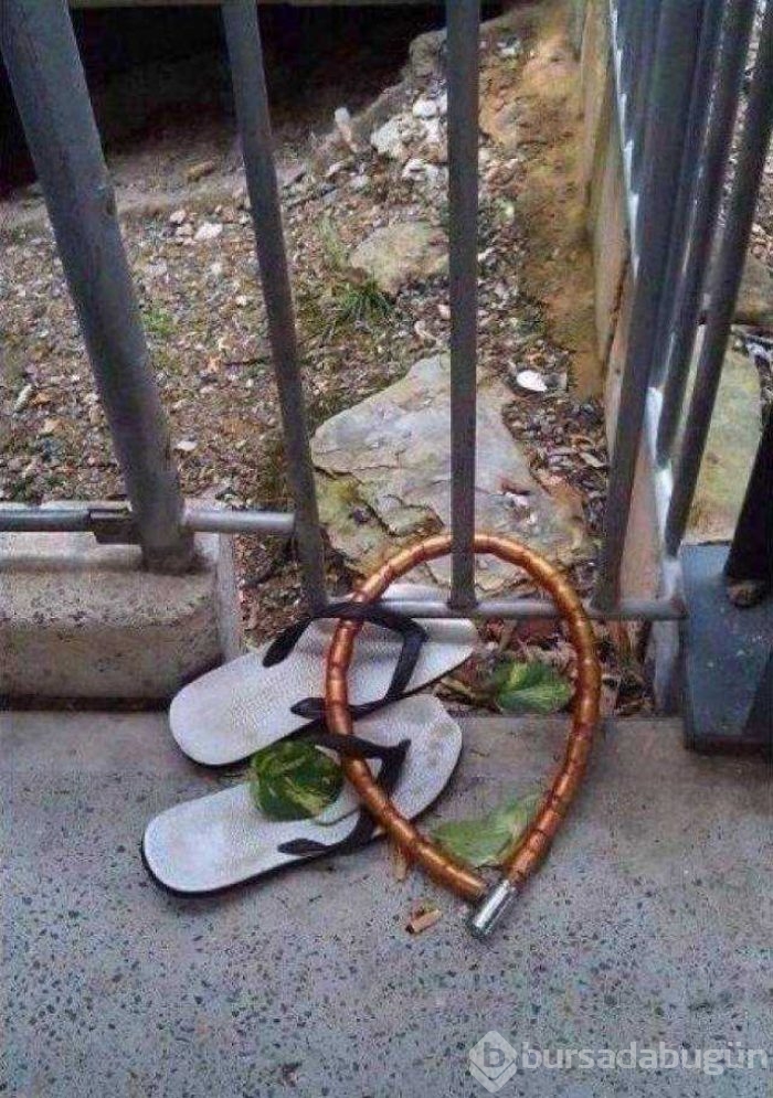 Günün en çok palaşılan fotoğrafları
