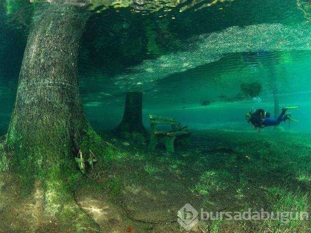 Günün en çok palaşılan fotoğrafları

