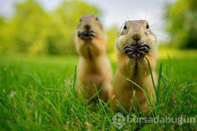 Günün en çok palaşılan fotoğrafları
