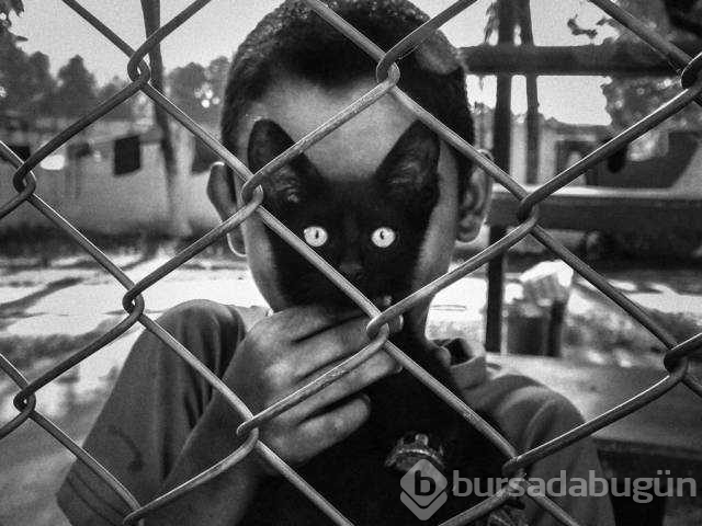 Günün en çok palaşılan fotoğrafları
