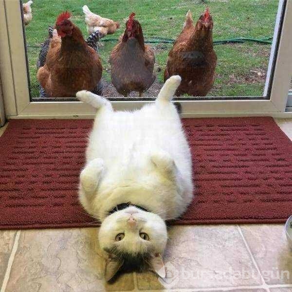 Günün en çok palaşılan fotoğrafları
