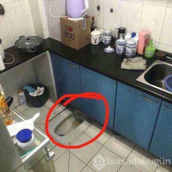 Günün en çok palaşılan fotoğrafları
