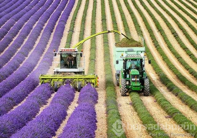 Günün en çok palaşılan fotoğrafları
