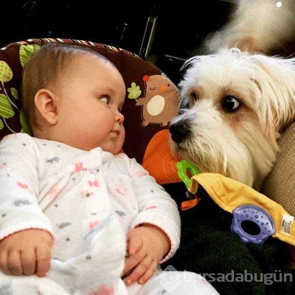 Günün en çok palaşılan fotoğrafları
