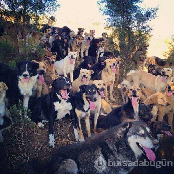 Günün en çok palaşılan fotoğrafları
