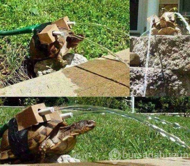 Günün en çok palaşılan fotoğrafları
