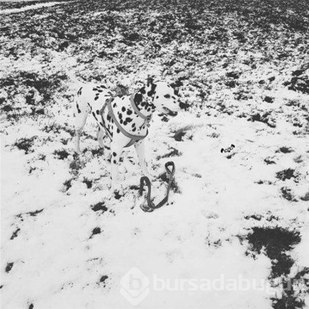 Dikkat! Beyniniz sizi yanıltıyor!
