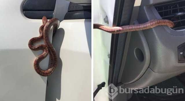 Şanssızlığın bu kadarı pes dedirtti