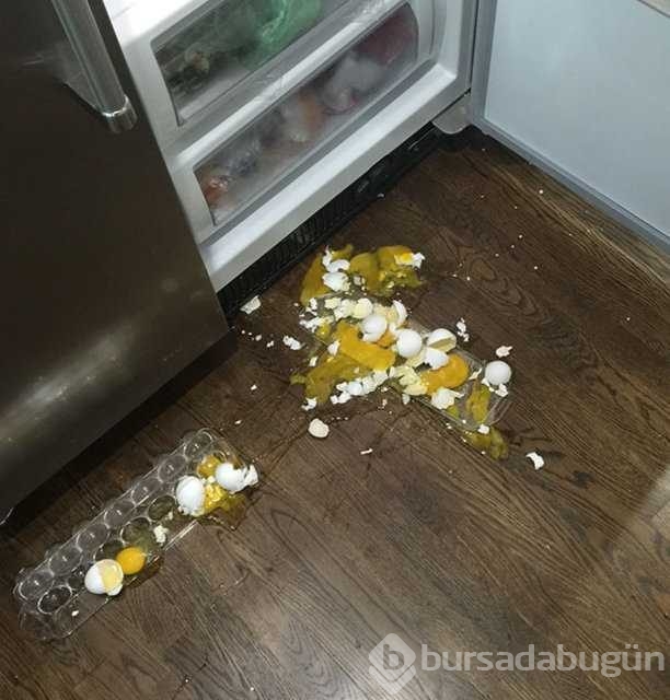 Şanssızlığın bu kadarı pes dedirtti
