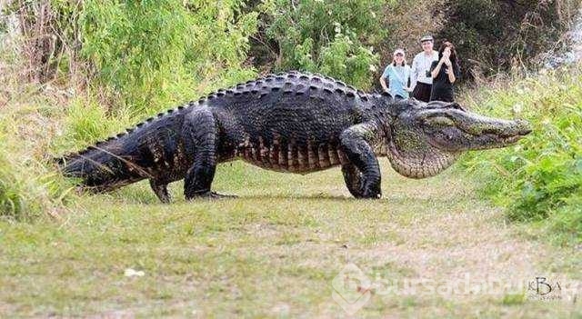 Günün en çok paylaşılan fotoğrafları