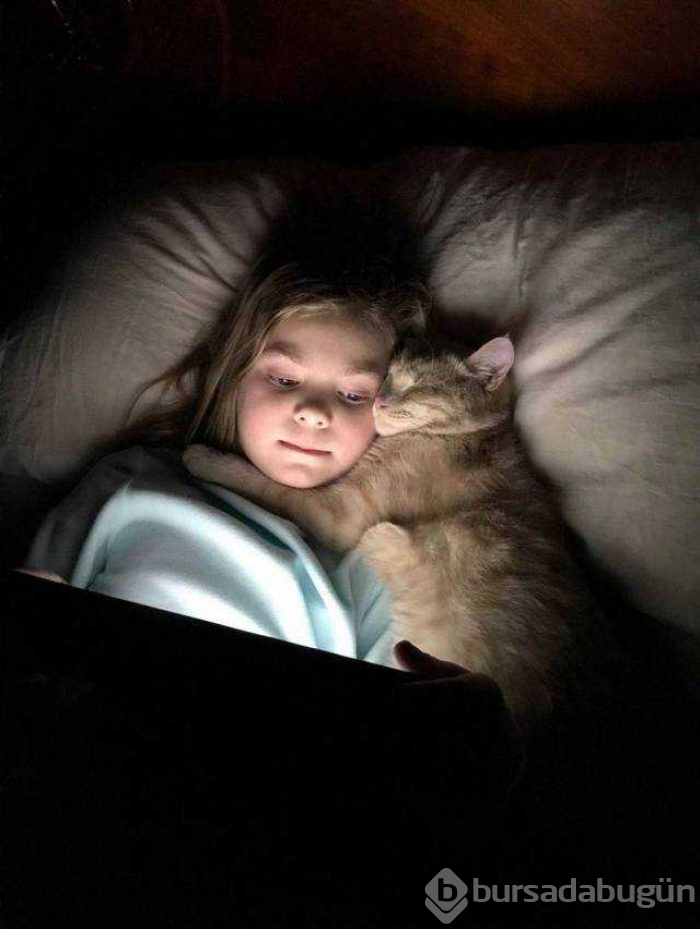Günün en çok paylaşılan fotoğrafları