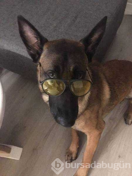 Günün en çok paylaşılan fotoğrafları
