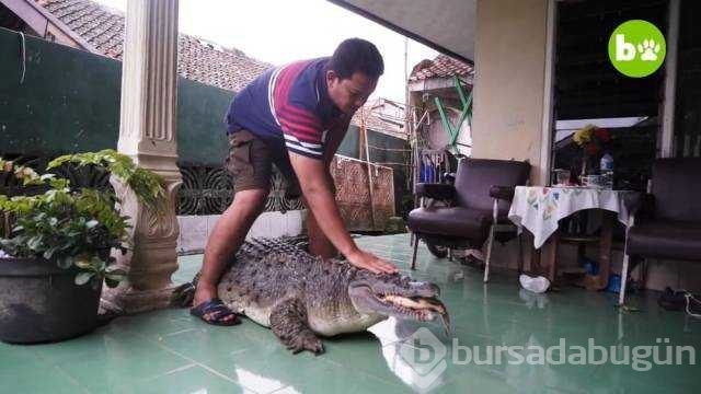 Günün en çok paylaşılan fotoğrafları