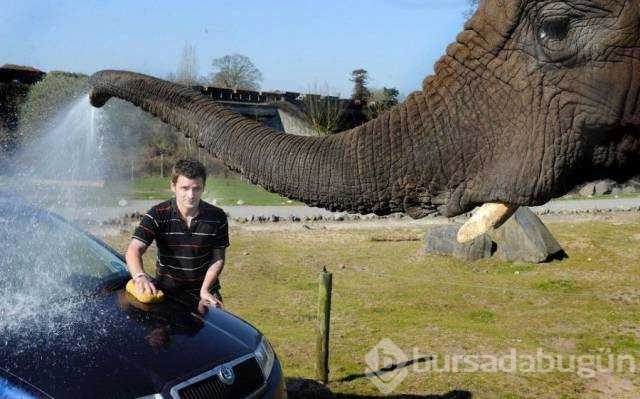 Günün en çok paylaşılan fotoğrafları
