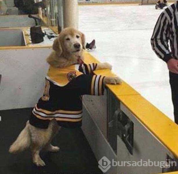 Günün en çok paylaşılan fotoğrafları