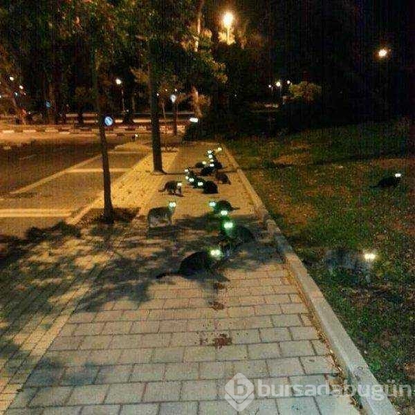 Günün en çok paylaşılan fotoğrafları