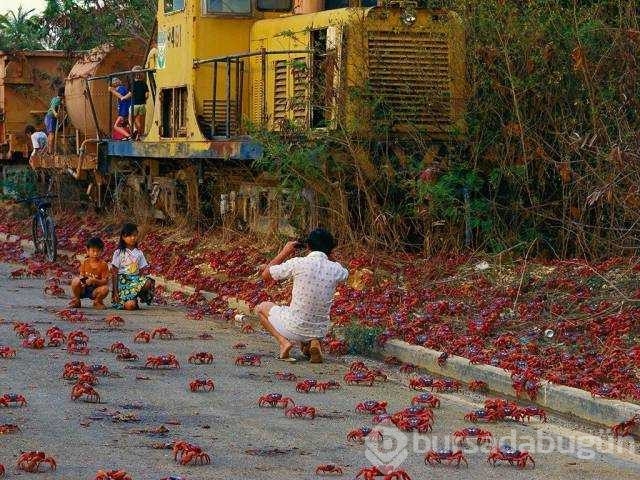 Günün en çok paylaşılan fotoğrafları