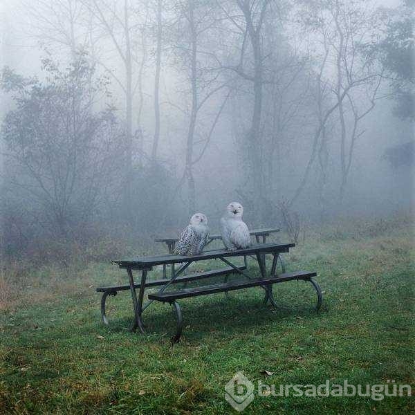 Günün en çok paylaşılan fotoğrafları