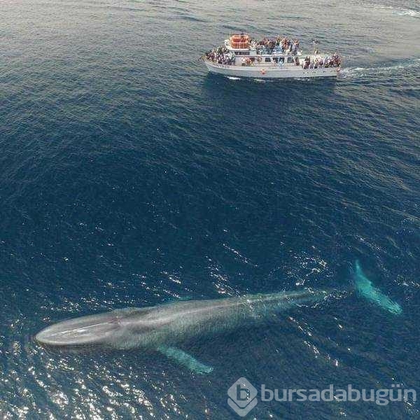 Günün en çok paylaşılan fotoğrafları