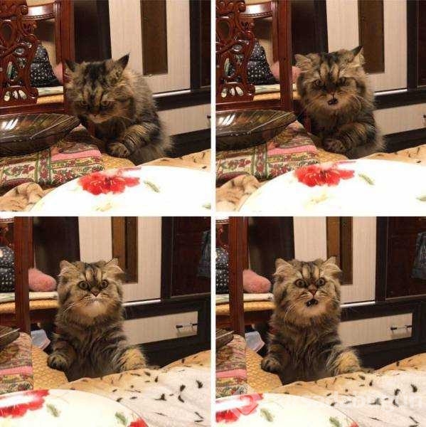 Günün en çok paylaşılan fotoğrafları