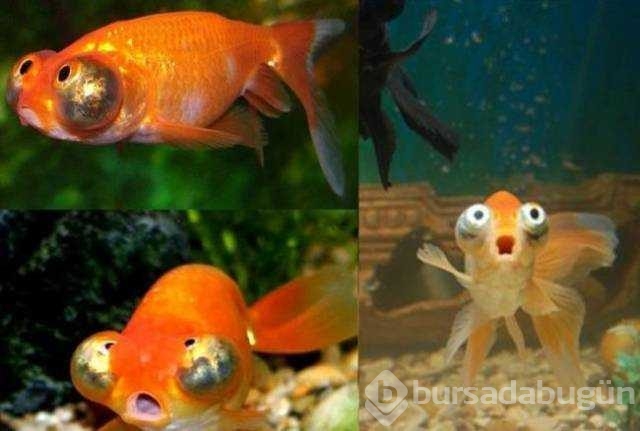 Günün en çok paylaşılan fotoğrafları