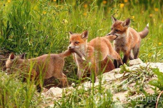 Günün en çok paylaşılan fotoğrafları