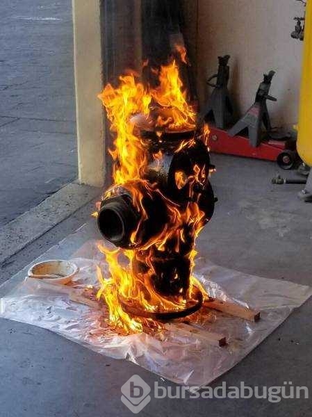 Günün en çok paylaşılan fotoğrafları