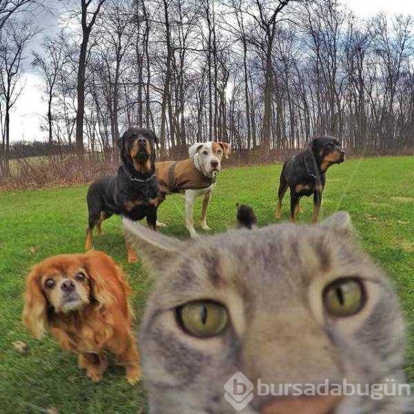 Günün en çok paylaşılan fotoğrafları