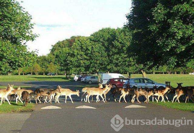 Günün en çok paylaşılan fotoğrafları