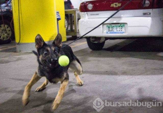 Günün en çok paylaşılan fotoğrafları